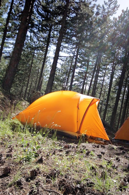 Obóz w lesie Żółty namiot kempingowy