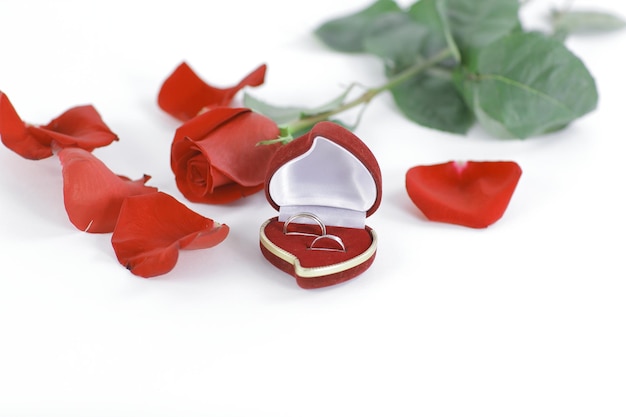 Zdjęcie obrączki ślubne i czerwona róża na białym tle