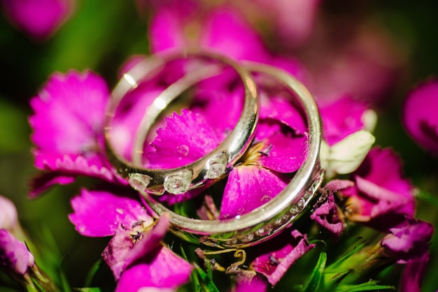 Obrączki ślubne Leżą Na Różowy Kwiat Z Bliska