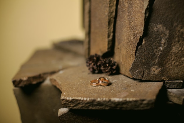obrączki ślubne na kamieniu. obok pierścieni znajdują się szyszki. koncepcja miłości. nieostrość