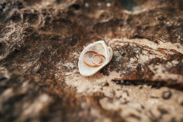 Obrączki ślubne na plaży. Zdjęcia makro pierścieni w muszli