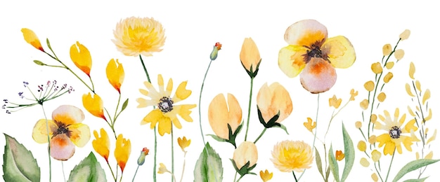 Obramowanie wykonane z żółtych akwareli dzikich kwiatów i liści letnich ilustracji