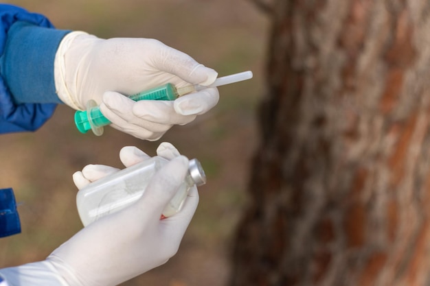 Obraz dłoni weterynarza w białych rękawiczkach trzymającego strzykawkę i butelkę szczepionki przed zaszczepieniem zwierząt gospodarskich