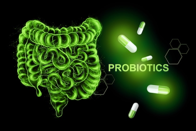 Zdjęcie obraz jelit i pigułek, probiotyki z napisem.