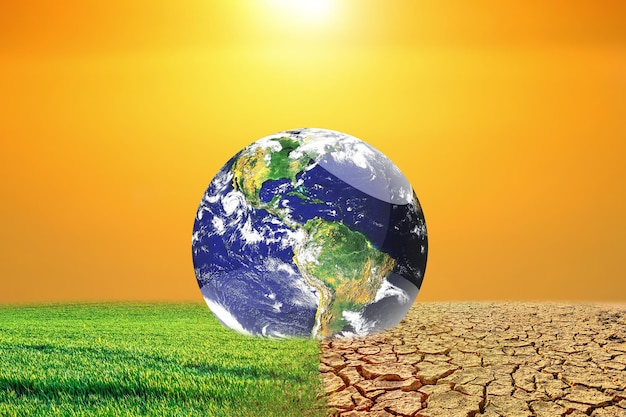 Obraz koncepcyjny globalnego ocieplenia pokazujący wpływ suchego lądu na zmieniające się środowisko drzew Koncepcja zmiany klimatu Koncepcja środowiskowa i globalne ocieplenie Wielkie drzewa żyją i umierają