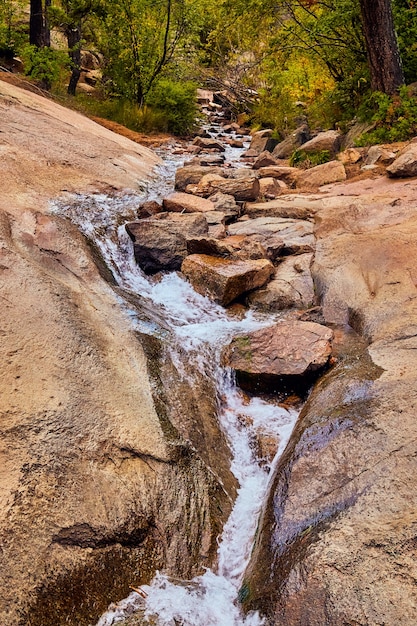 Obraz małego strumienia wody płynącej przez kanion skalny w lesie