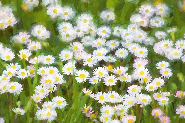 Obraz olejny wiosenna łąka z kwiatami stokrotki