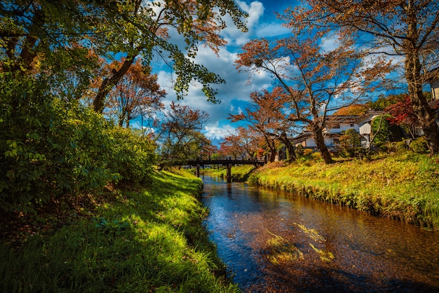 Obraz pejzażu Mt. Fuji nad kanałem z jesieni ulistnieniem przy dniem w Minamitsuru okręgu, Yamanashi prefektura, Japonia.