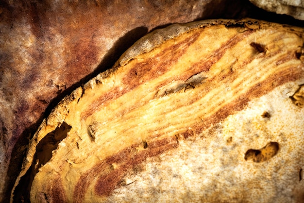 Obraz świeżo ugotowanego, rumianego, chrupiącego bochenka domowego chleba