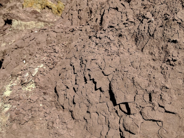 Obraz tła gleby