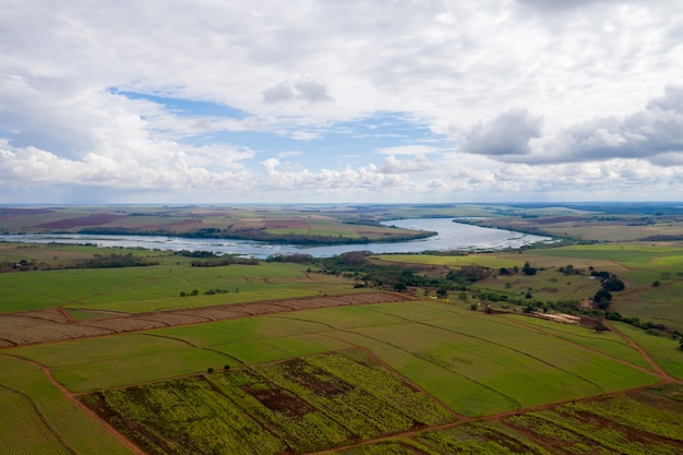 Obszar wiejski z plantacjami i rzeką Tiete