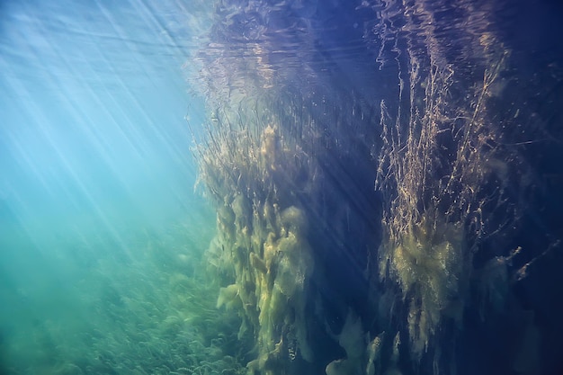 ocean woda niebieskie tło podwodne promienie słońce / abstrakcyjne niebieskie tło natura woda
