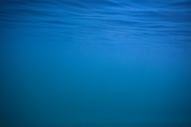 ocean woda niebieskie tło podwodne promienie słońce / abstrakcyjne niebieskie tło natura woda