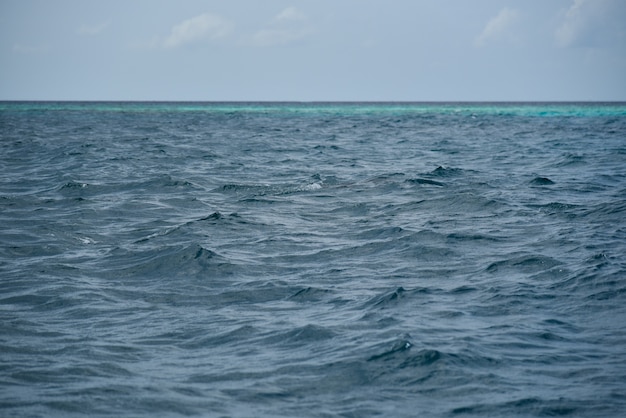 Ocean Wody Powierzchnia, Morze Fala W Maldives