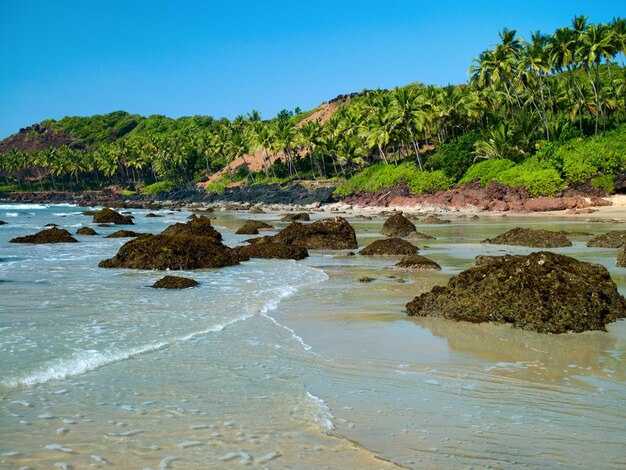 Oceaniczna plaża z wyspą i palmami