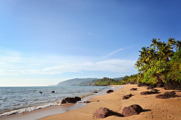 Oceaniczna plaża z wyspą i palmami