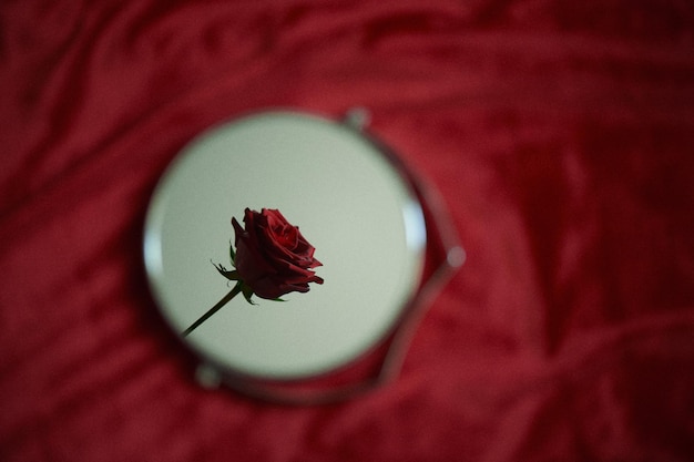 Odbicie czerwonej róży w okrągłym lustrze Symbol namiętności i miłości