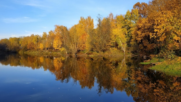 Odbicie drzew na jeziorze jesienią