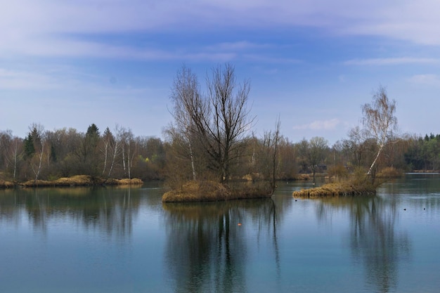 Zdjęcie odbicie drzew w jeziorze na chmurnym niebie