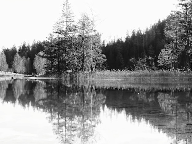 Zdjęcie odbicie drzew w jeziorze na tle nieba