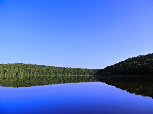 Zdjęcie odbicie drzew w spokojnym jeziorze