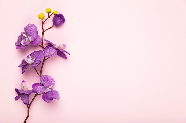 Zdjęcie odbitkowa kwitnąca gałąź kwiat