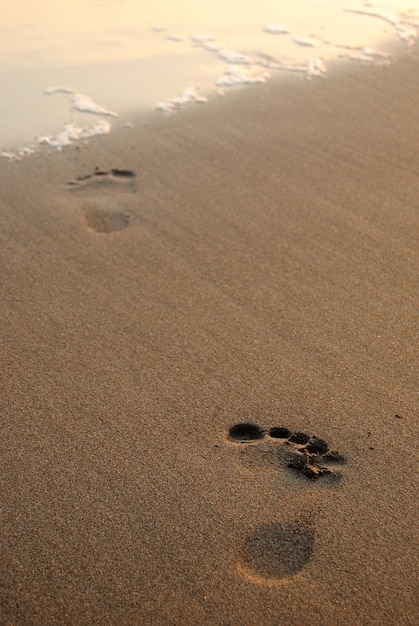 Odcisk Stopy Na Piasku Na Plaży