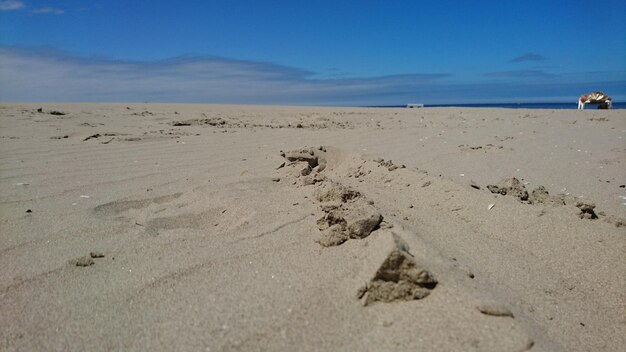 Zdjęcie odciski stóp na piasku na plaży na tle nieba