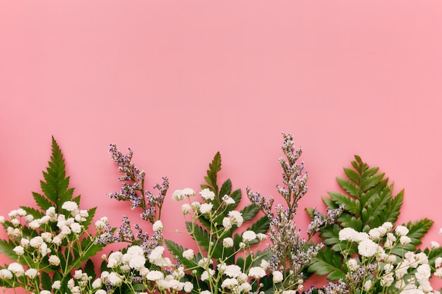 Oddech Gypsophila białego dziecka i zielony liść w pastelowym różu