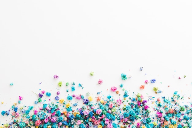 Odgórny widok kolorowi kwiaty z kopii przestrzenią
