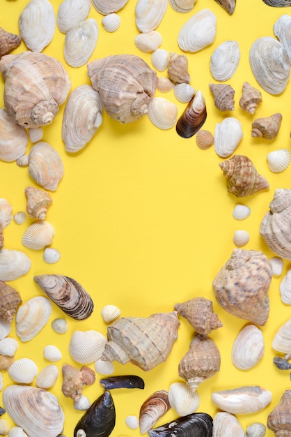 Odgórny widok różnorodni rodzajów seashells na żółtym tle.