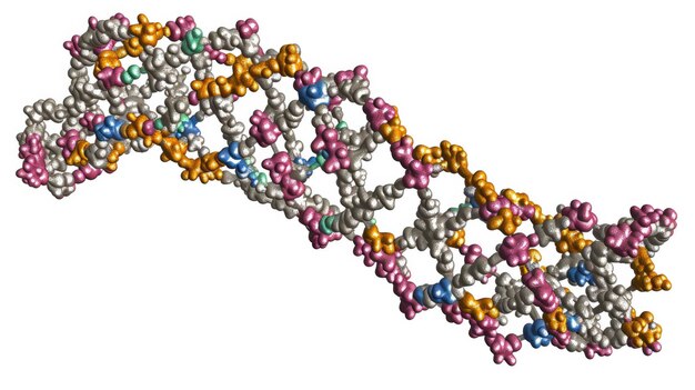 Zdjęcie odkrycie tajemnic dna plan życia i poza nim