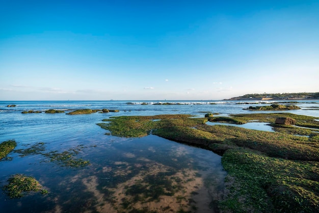 Odkryty wybrzeże oceanu krajobraz morski przyroda sceneria