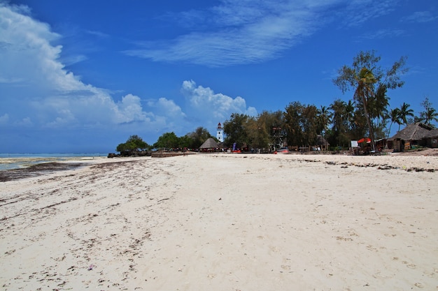 Odpływ na Zanzibarze, Ocean Indyjski