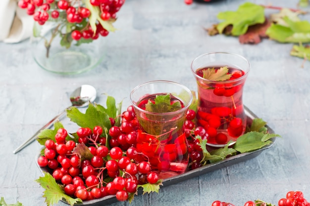 Odwar z dojrzałych jagód kaliny w szklankach i gałęziach z jagodami i liśćmi kaliny na podłożu na stole. Medycyna alternatywna, wellness i żywienie witaminowe