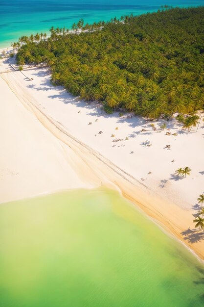 Zdjęcie odyssey lotnicza - fascynujące widoki na naturalne plaże