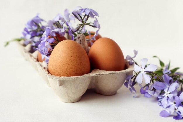 Odżywianie dietetyczne dla zdrowia organizmu Jaja kurze w opakowaniu zbliżenie na białym tle