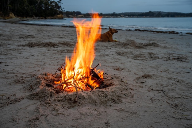 Zdjęcie ogień na piasku w australii ogień obozowy na plaży latem