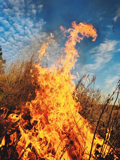 Zdjęcie ogień na polu przeciwko niebu
