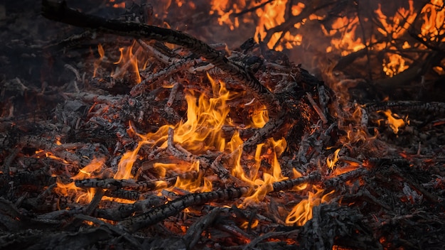 Ogień płomień, Rozżarzony ogień i popiół