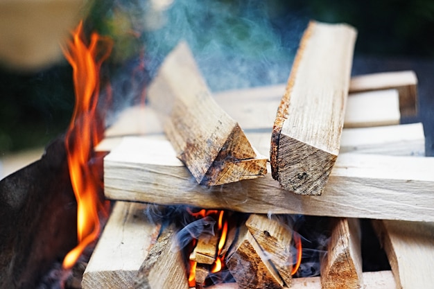 Ogień, płomienie z drewna ember do grilla lub grilla piknik, opary i drewno na zewnątrz