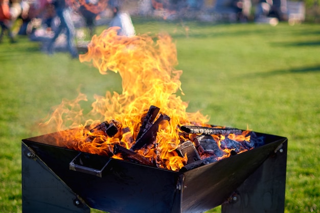 Ogień podczas pikniku na zielonym trawniku na piknik