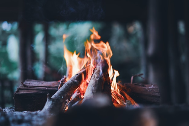 Ogień rozświetla się drewnianymi kijami
