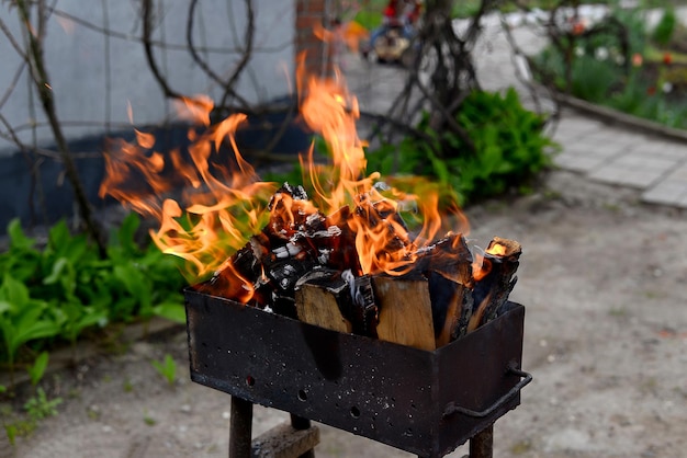 Ogień w grillu na świeżym powietrzu