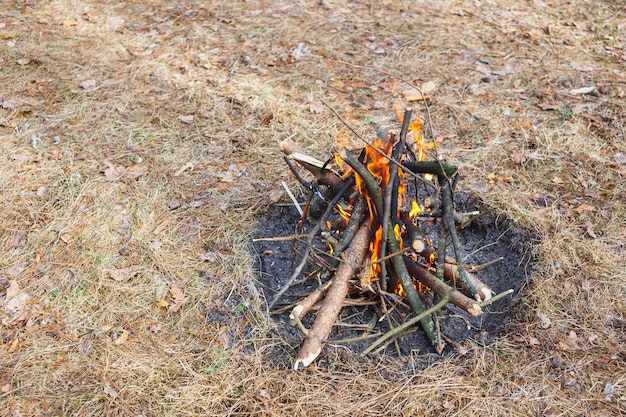 Zdjęcie ognisko w wiosennym lesie na tle zwiędłej trawy