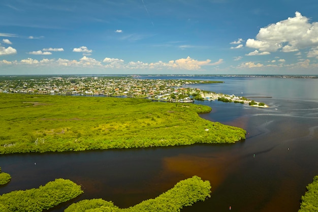 Ogólny widok bagien Everglades z zieloną roślinnością między wlotami wody a wiejskimi domami prywatnymi Naturalne siedlisko wielu gatunków tropikalnych na terenach podmokłych Florydy