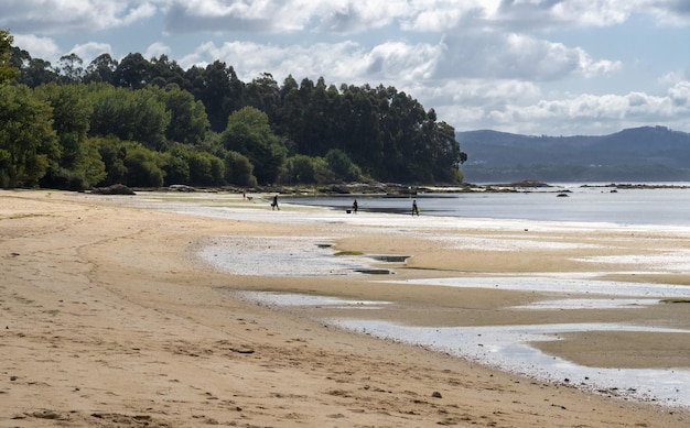 Ogólny widok na plażę w Boiro Pontevedra W tle kobieta bawiąca się z dwoma psami i skorupiakiem oraz dwie skorupiaki zmierzające do wody po skorupiaki