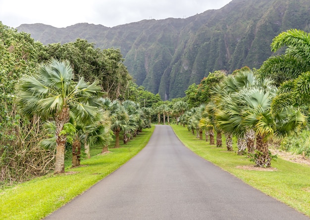 Ogród botaniczny Hoomaluhia, Oahu, Hawaje, USA