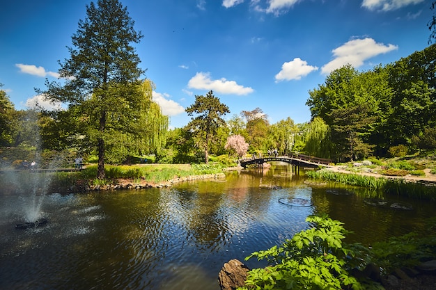 Ogród Botaniczny Uniwersytetu Wrocławskiego. Ogród Powstał Na Ostrowie Tumskim