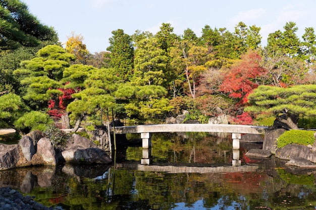 Ogród japoński w sezonie jesiennym